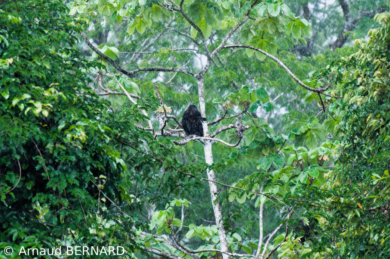 Costa Rica – Richesses de la nature